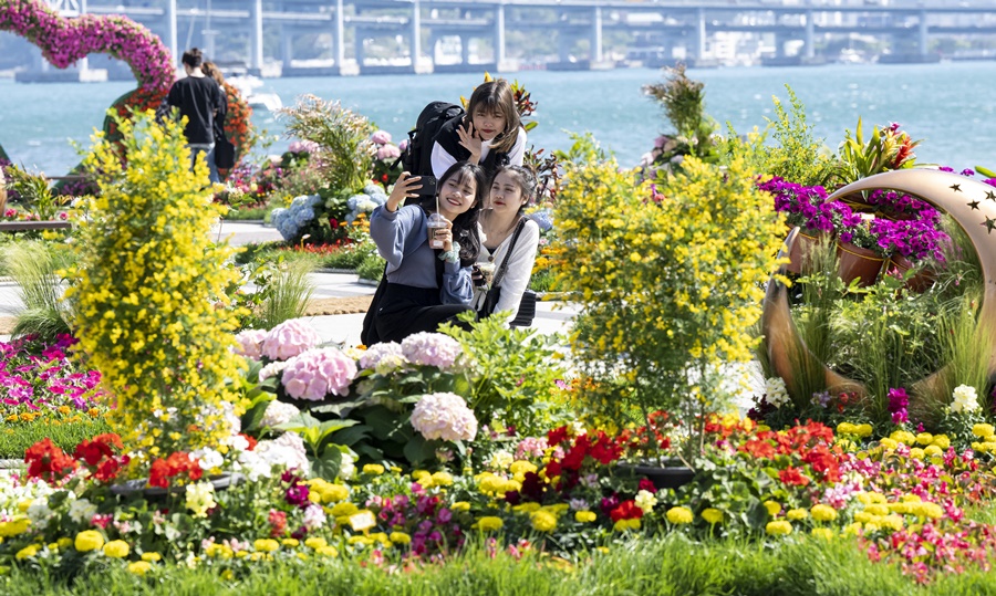 사계절이 꽃피는 광안리 해변 조성- 봄편-국제신문